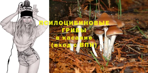 трава Алексин