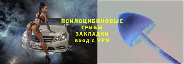 трава Алексин