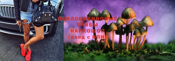 стаф Алексеевка