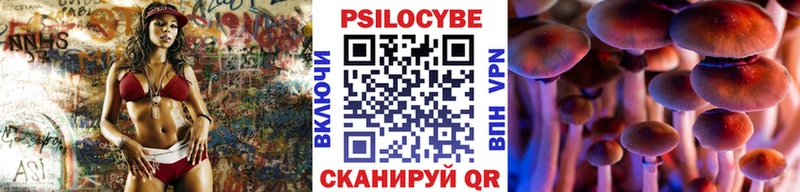 Галлюциногенные грибы мицелий Богородицк