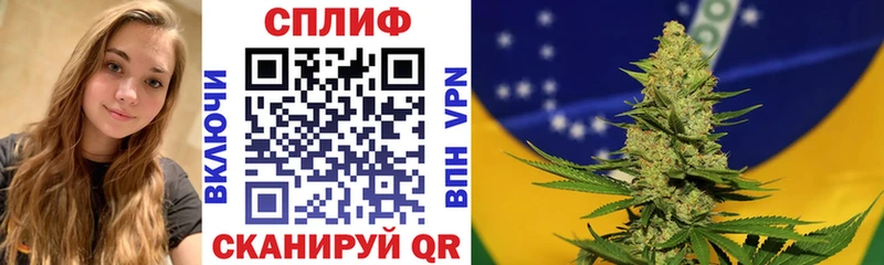 Шишки марихуана MAZAR  Купить  Богородицк 